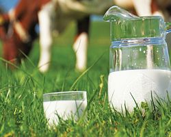 «Κατανομή ποσοστώσεων αγελαδινού γάλακτος από το Εθνικό Απόθεμα από την γαλακτοκομική περίοδο 2014-2015»